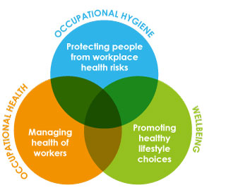health triangle workplace hygiene occupational bohs work navigating ill worker together should